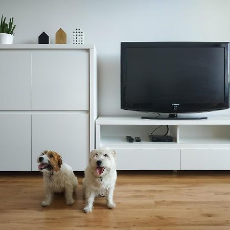 ודוביצה Uroczy Apartament Pod Skarpa מראה חיצוני תמונה