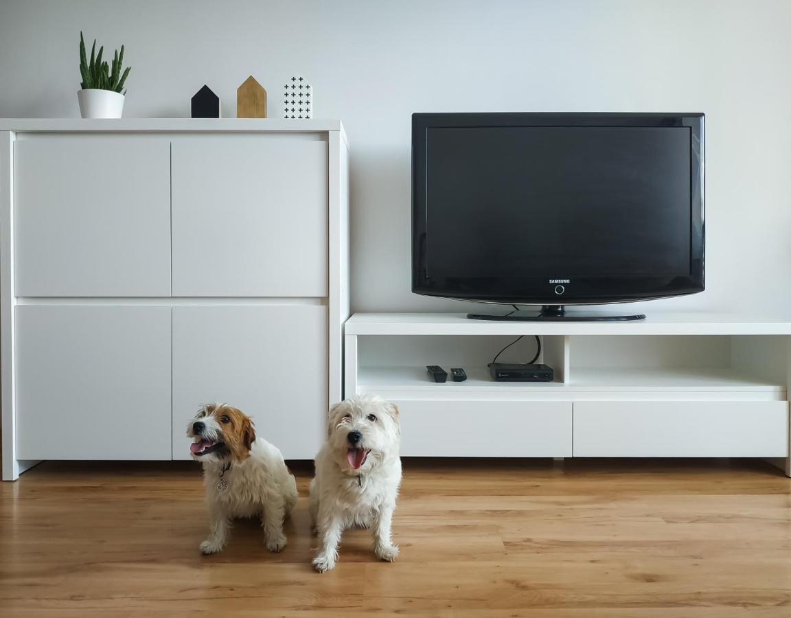ודוביצה Uroczy Apartament Pod Skarpa מראה חיצוני תמונה
